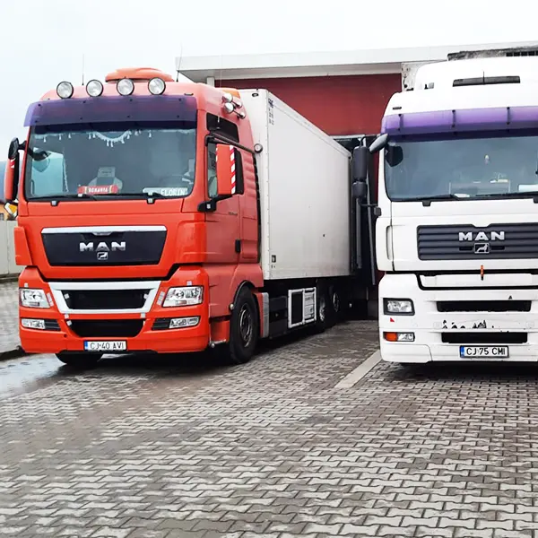 logistica